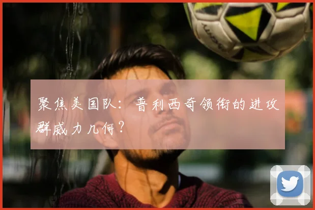 聚焦美国队：普利西奇领衔的进攻群威力几何？