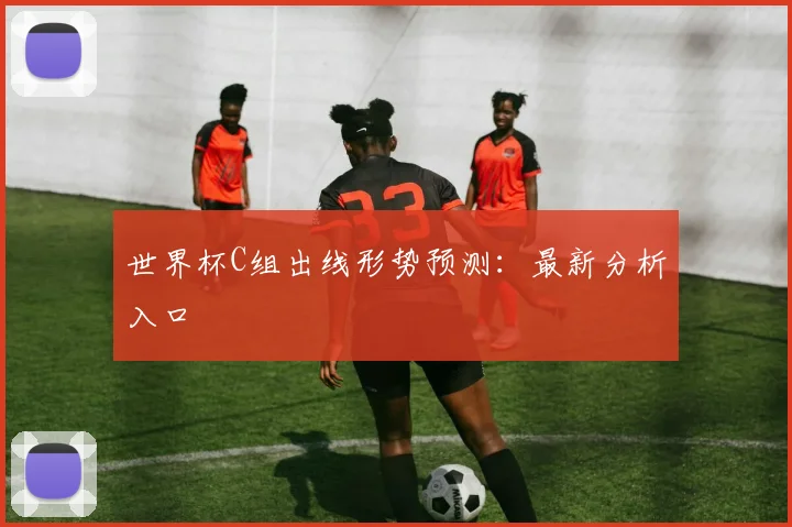 世界杯C组出线形势预测：最新分析入口