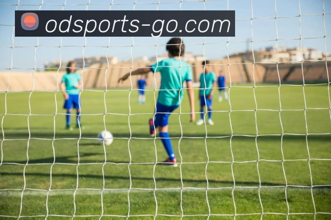 体育数据展示
